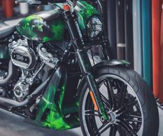 Harley Davidson "Toxic Skull"